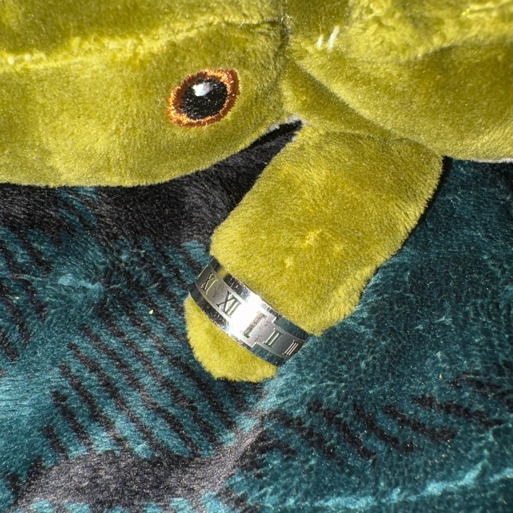 Silver Stainless Steel Roman Numeral Ring